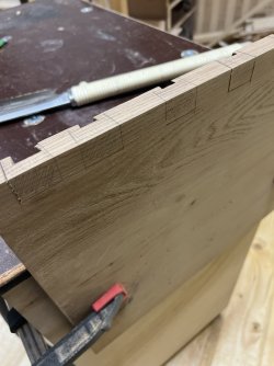 IMG_7988.jpeg IMG_7988.jpeg