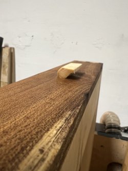 IMG_8033.jpeg IMG_8033.jpeg