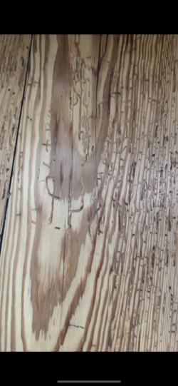 IMG_0837.png IMG_0837.png