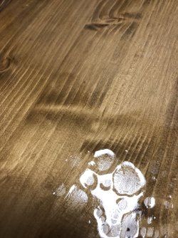 Image-1.jpeg Image-1.jpeg