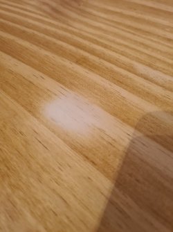 20240930_152130.jpg