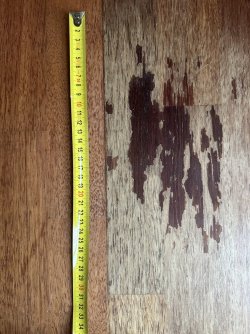 IMG_2600.jpeg