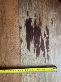 IMG_2601.jpeg