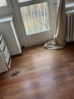 IMG_2606.jpeg