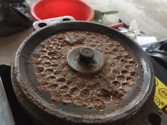 WhatsApp Bild 2024-12-07 um 21.05.26_5145301f.jpg