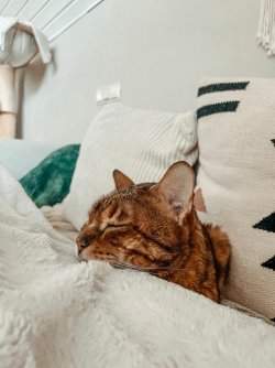 WhatsApp Bild 2024-12-12 um 11.45.49_da114842.jpg