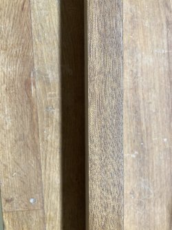 IMG_1310.jpeg