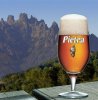 pietra_beer (316x320).jpg