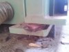 2014-02-25_11-10-32_668.jpg