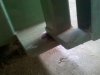 2014-03-06_16-21-31_960.jpg