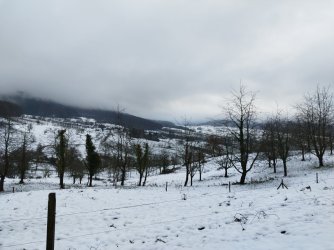 IMG_20241224_091306.jpg