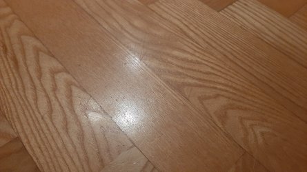 20241229_171426.jpg