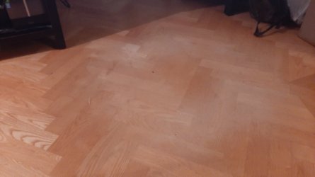 20241229_171442.jpg