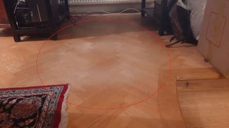 20241229_172320.jpg
