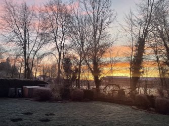 IMG_2601.jpeg