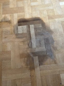 IMG_0027.jpg