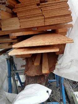 IMG20230903152611.jpg