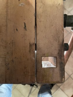 1487_Hinterzange, vorn, Aufsicht.JPEG 1487_Hinterzange, vorn, Aufsicht.JPEG