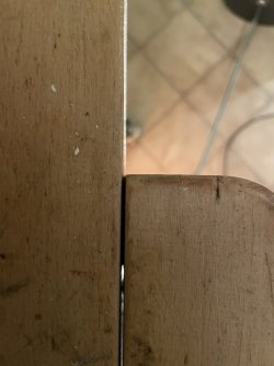 1488_Hinterzange, hinten, Aufsicht.JPEG 1488_Hinterzange, hinten, Aufsicht.JPEG