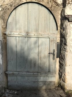 IMG_3100.jpeg