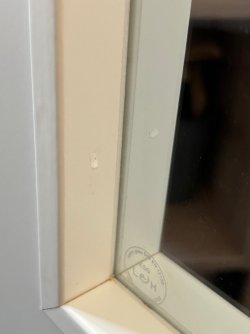 IMG_1890.jpeg