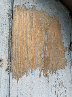 IMG_3576.jpeg