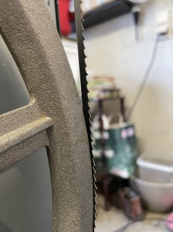 IMG_1506.jpeg