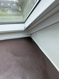 PXL_20250205_095000488.jpg PXL_20250205_095000488.jpg