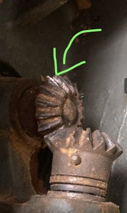 IMG_20250219_124145.jpg IMG_20250219_124145.jpg