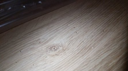 IMG_20250212_125143.jpg