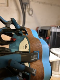 IMG_8335.jpeg IMG_8335.jpeg