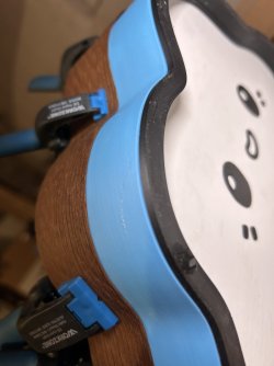 IMG_8336.jpeg IMG_8336.jpeg