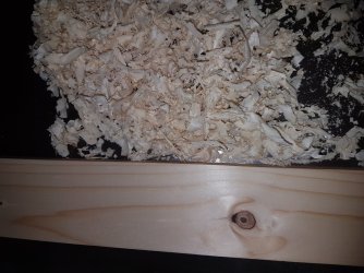 20250227_195649.jpg 20250227_195649.jpg