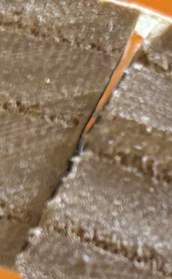IMG_1391.jpeg