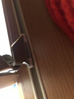IMG_6753.jpeg