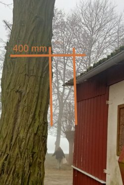 IMG20250225093922.jpg