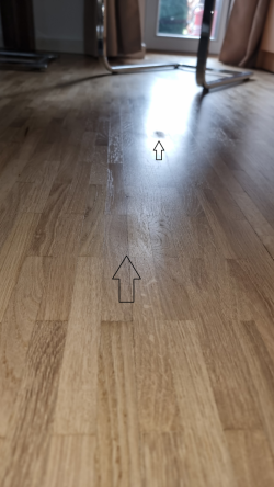 20250315_131540.png