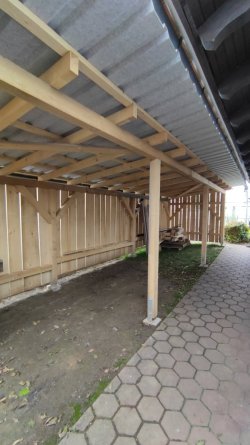 IMG_20241207_125536.jpg IMG_20241207_125536.jpg