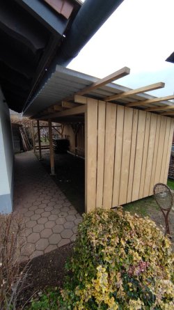 IMG_20241207_125556.jpg IMG_20241207_125556.jpg