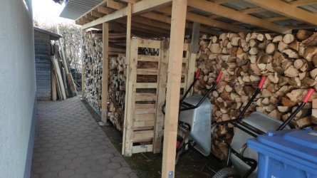 IMG-20250305.jpg IMG-20250305.jpg