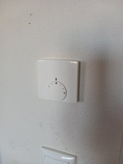 20250318_131733.jpg