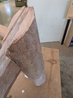 PXL_20250321_121806666.MP.jpg