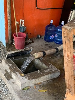 IMG_0890.jpg
