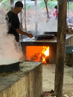 IMG_0892.jpg
