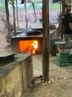 IMG_0893.jpg