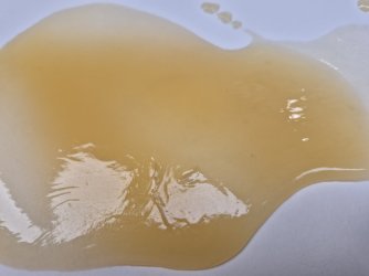 20250323_185156.jpg