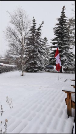 Spring 3.jpg