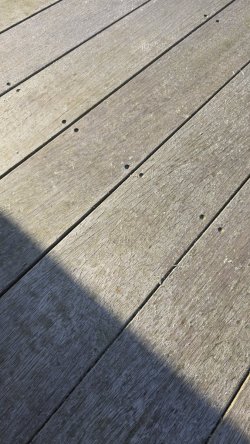 20250307_152547.jpg