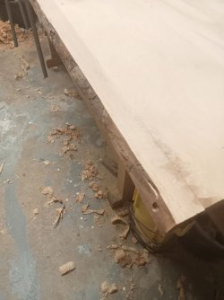 IMG20231129152620.jpg