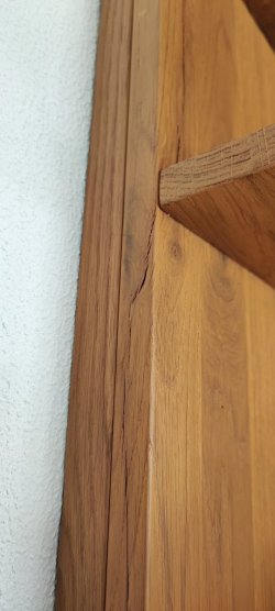 1743872882836.jpg